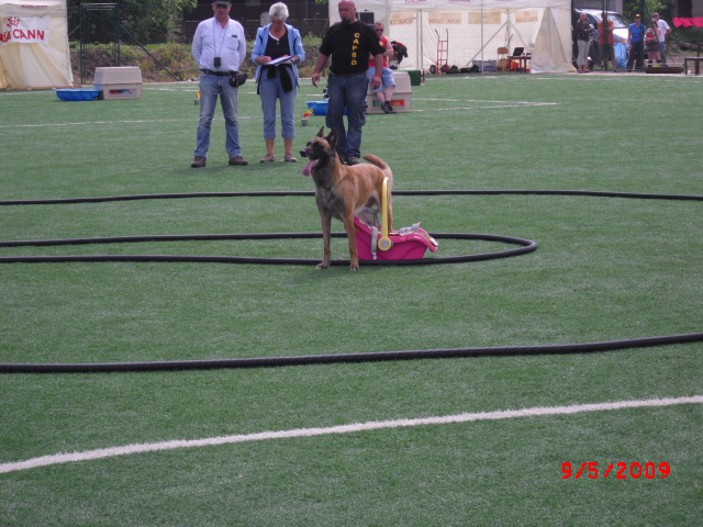 CIMG0879.JPG