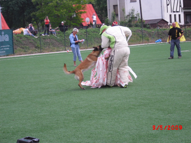CIMG0884.JPG