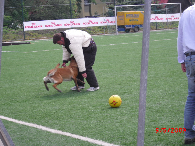 CIMG0886.JPG