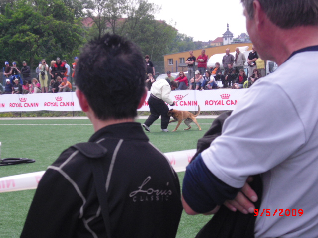 CIMG0887.JPG