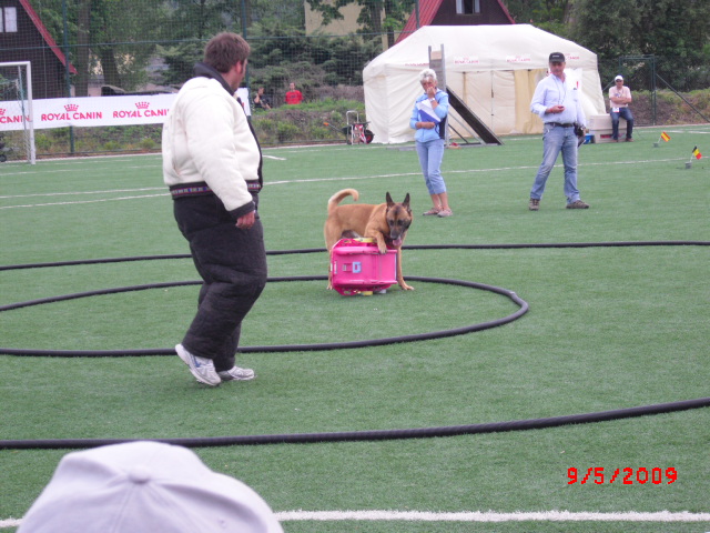 CIMG0888.JPG