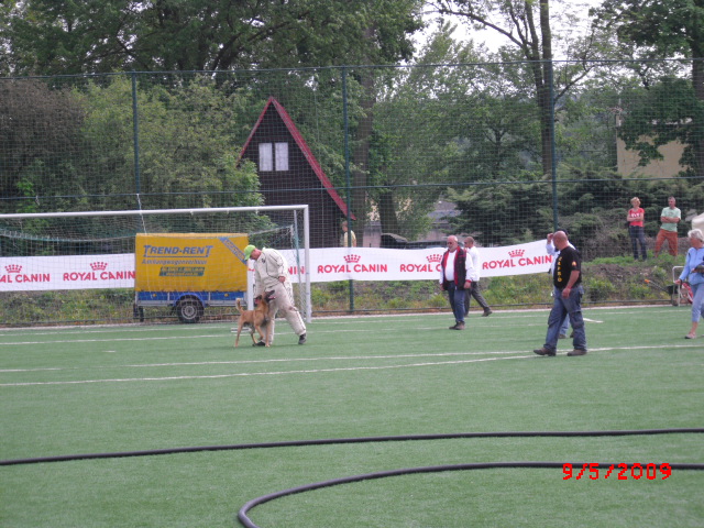 CIMG0892.JPG