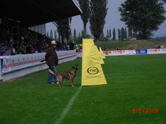 CIMG0871.JPG
