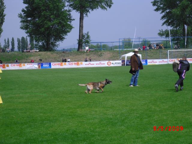 CIMG0872.JPG