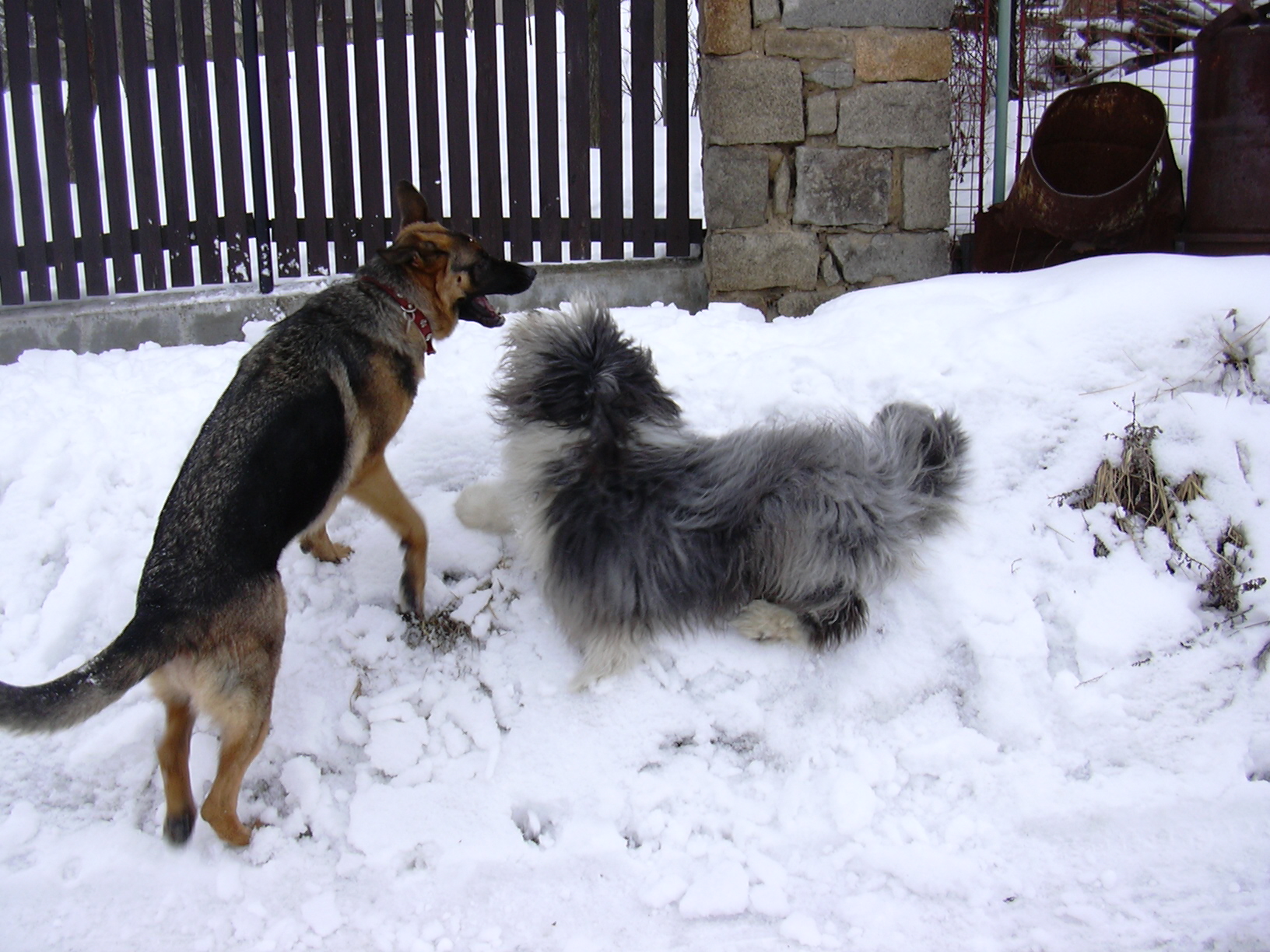 DSCN0032.JPG