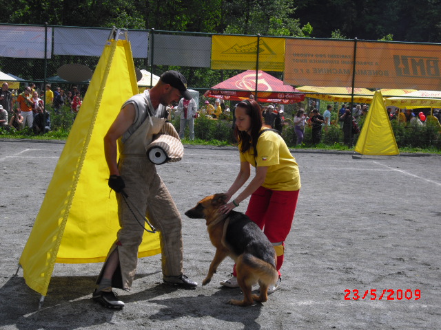 CIMG1198.JPG