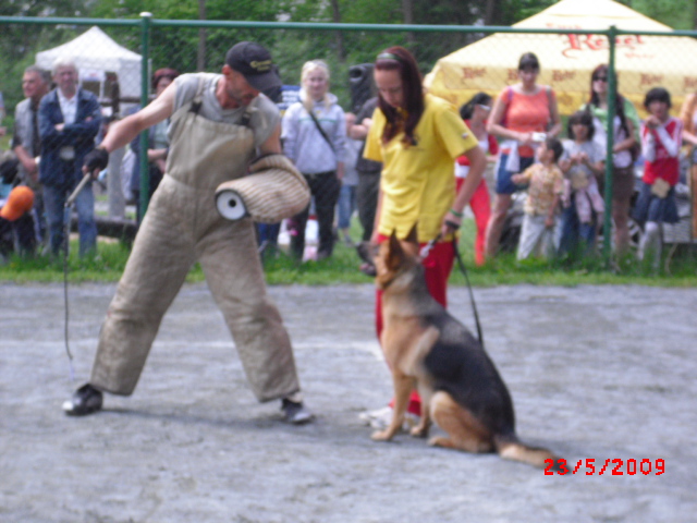 CIMG1202.JPG